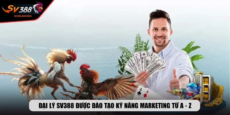 Đại lý SV388 được đào tạo kỹ năng marketing từ A - Z