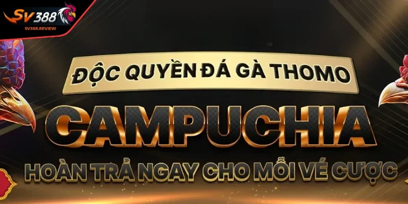 Về chúng tôi - Những đặc điểm nổi bật của SV388 